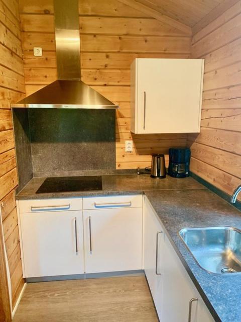 2 Bedroom Fins Chalet Gramsbergen Exterior foto